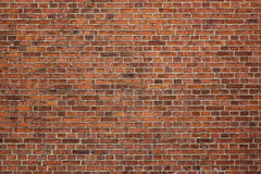 Brick Wall - Red - Printed Backdrops