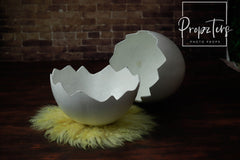Egg shell Type 4