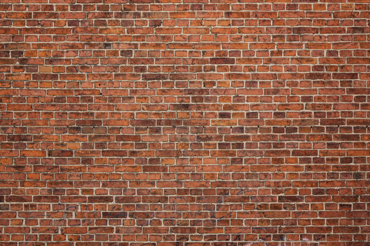 Brick Wall Red - Printed Backdrops