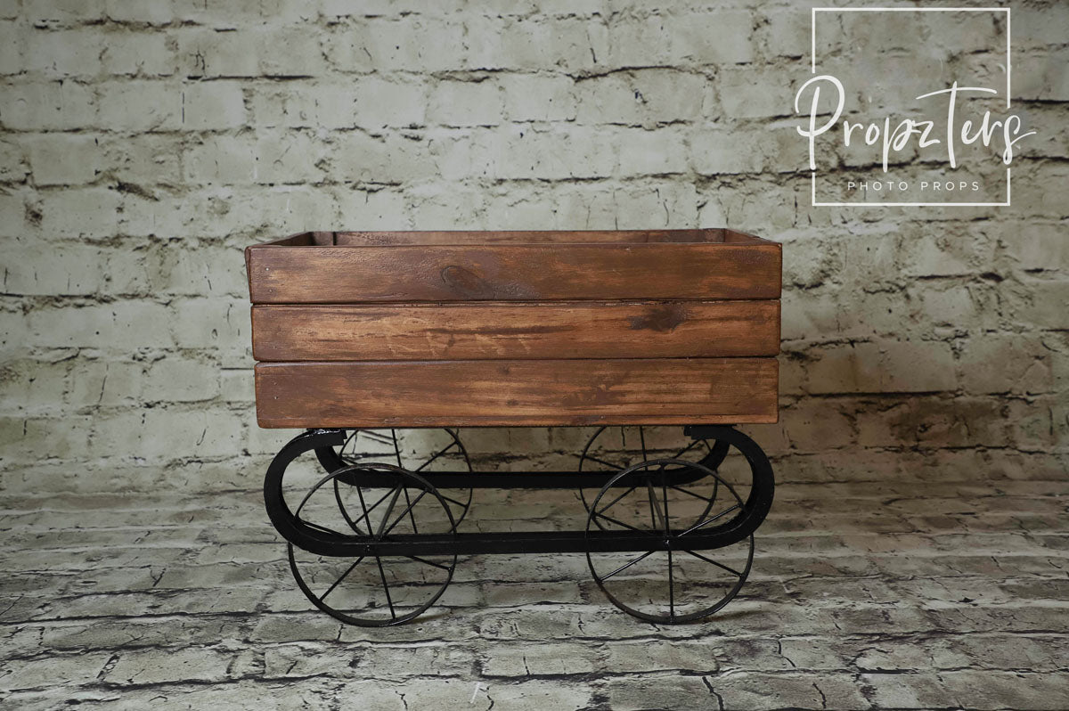 Wooden Cart  2